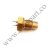 02 7831 1615, 1615-7831-02, 1615783102, atlas copco, temperature switch, temperature switch Atlas Copco, اطلس کوپکو, تمپرچر سوئیچ, سوئیچ اطلس کوپکو, سوئیچ دما, سوئیچ دما اطلس کوپکو
